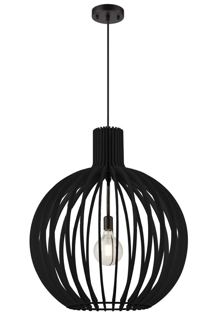 DVI, NAHANNI PARK PENDANT, PENDANT LIGHT