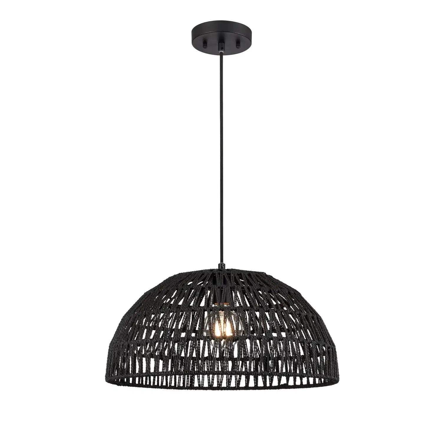 DVI, LAC DU BONNET PENDANT, PENDANT LIGHT