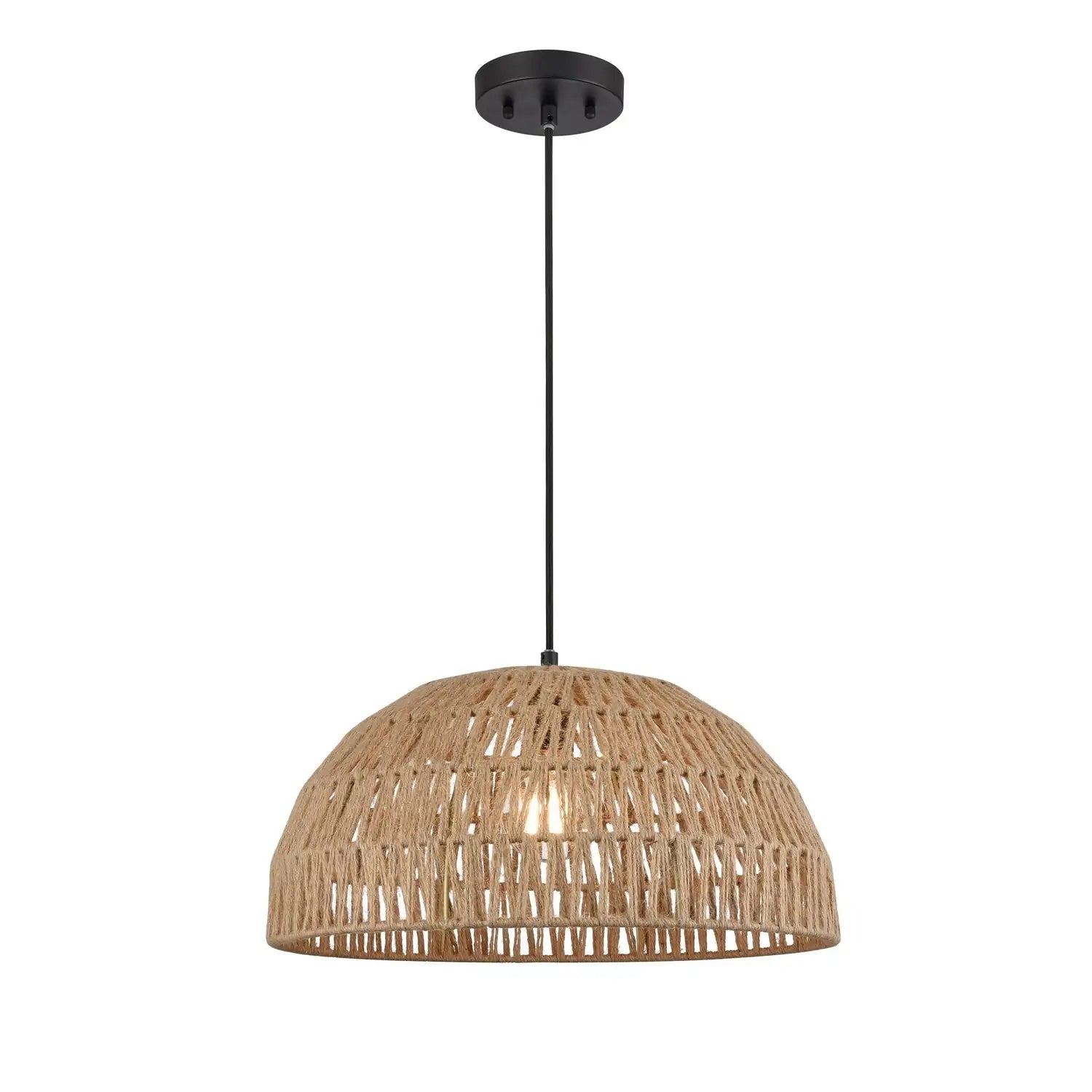 DVI, LAC DU BONNET PENDANT, PENDANT LIGHT