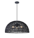 DVI, LAC DU BONNET PENDANT, PENDANT LIGHT