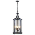 DVI, NIAGARA OUTDOOR OUTDOOR PENDANT, OUTDOOR CEILING LIGHTS