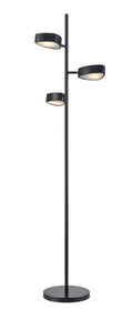 DVI, NORTHEN MARCHES FLOOR LAMP, FLOOR LAMP