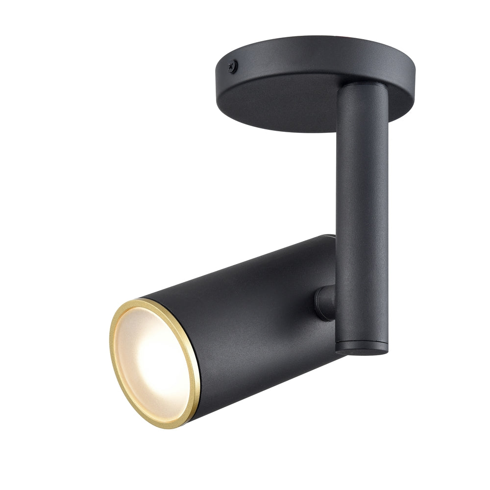 DVI POND INLET OUTDOOR OUTDOOR FLUSH MOUNT - Ceiling