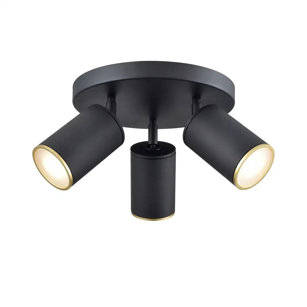 DVI, POND INLET OUTDOOR OUTDOOR FLUSH MOUNT, OUTDOOR CEILING LIGHTS