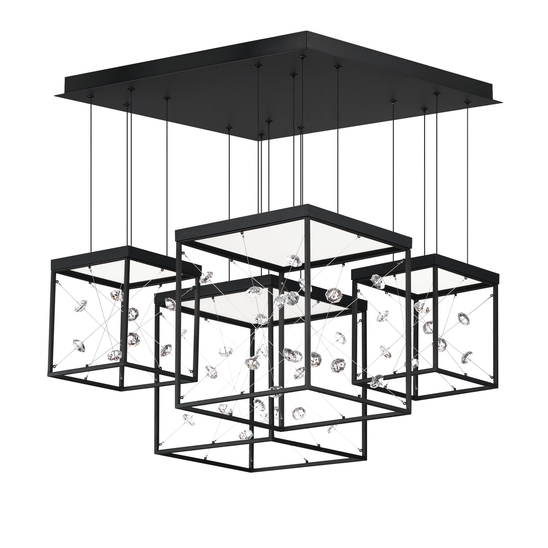 ET2, ENTANGLEMENT-MULTI-LIGHT PENDANT, PENDANT LIGHT