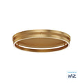 ET2, GROOVE WIZ-FLUSH MOUNT, FLUSH MOUNT CEILING LIGHTS