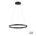 ET2, GROOVE WIZ-SINGLE PENDANT, PENDANT LIGHT