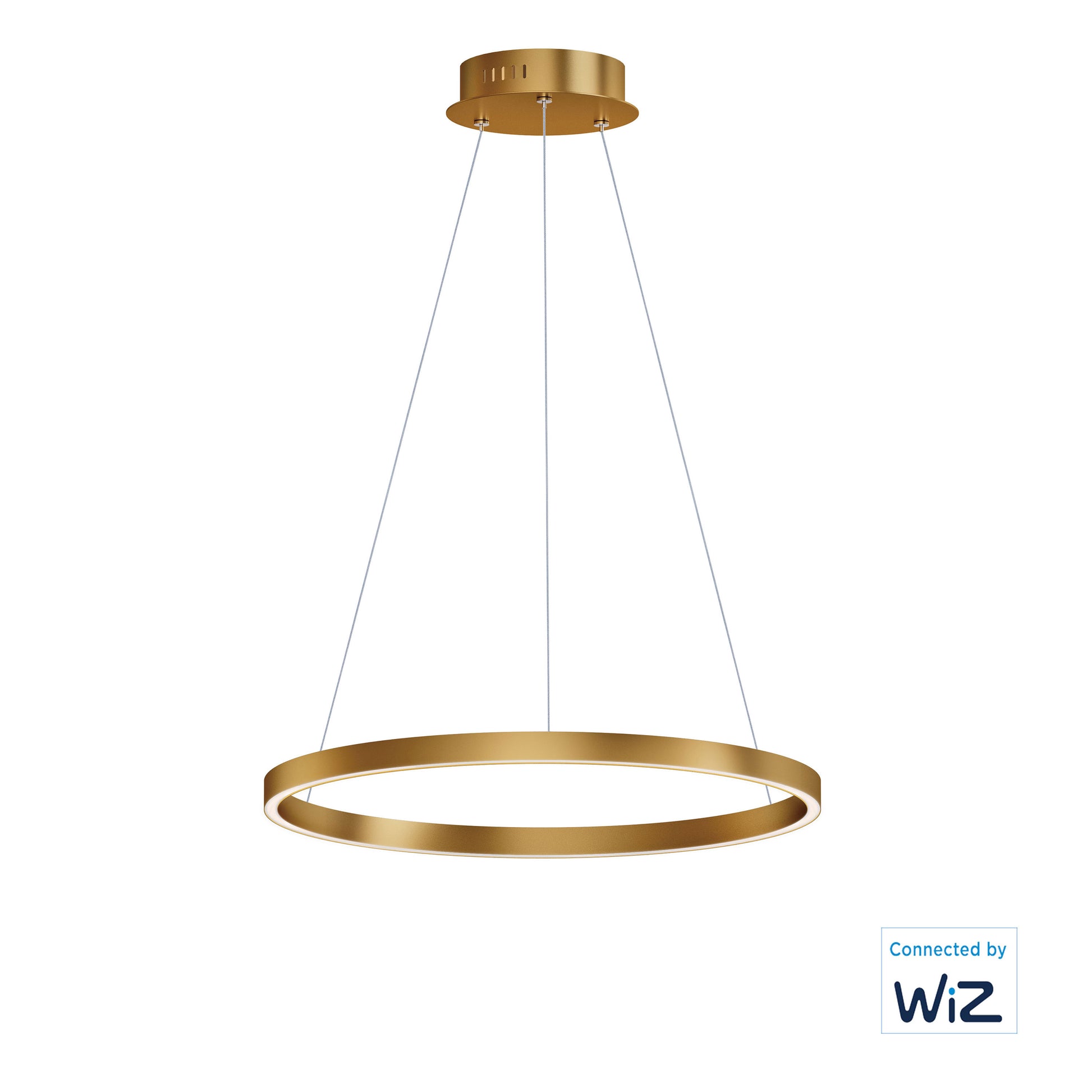ET2, GROOVE WIZ-SINGLE PENDANT, PENDANT LIGHT