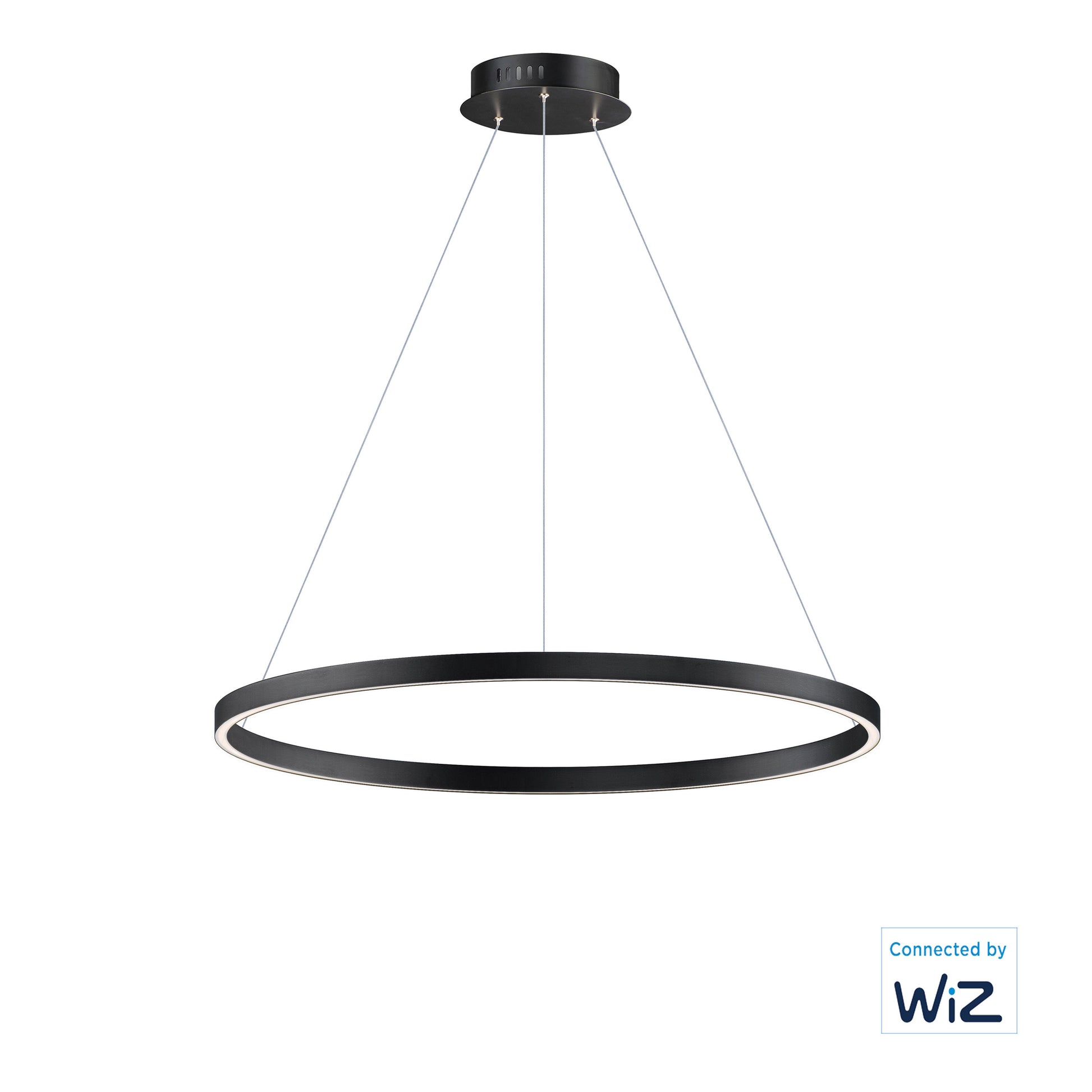 ET2, GROOVE WIZ-SINGLE PENDANT, PENDANT LIGHT