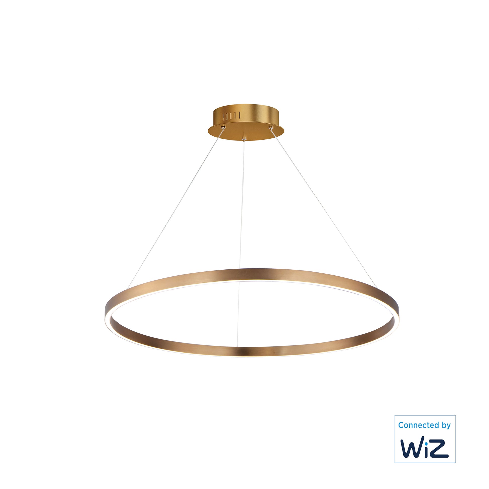 ET2, GROOVE WIZ-SINGLE PENDANT, PENDANT LIGHT