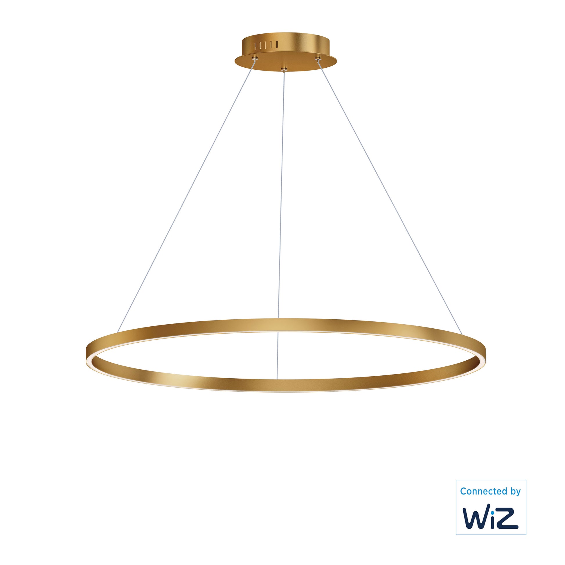 ET2, GROOVE WIZ-SINGLE PENDANT, PENDANT LIGHT