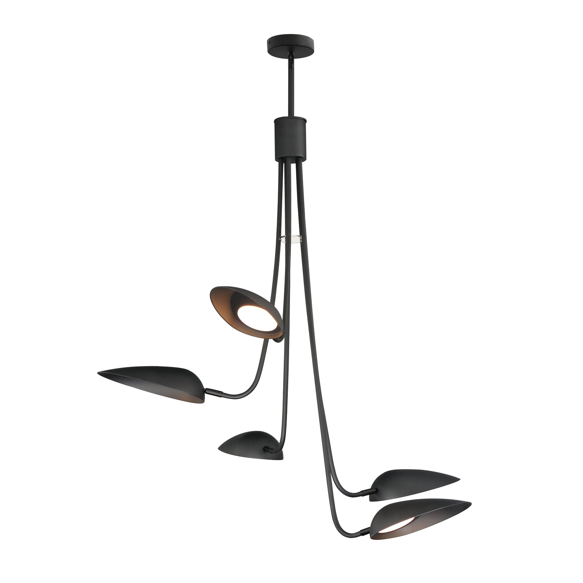 ET2, MARSH-MULTI-LIGHT PENDANT, CHANDELIER LIGHT