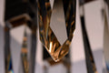 ET2, QUARTZ-MULTI-LIGHT PENDANT, PENDANT LIGHT