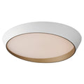 ET2, SLANT-FLUSH MOUNT, FLUSH MOUNT CEILING LIGHTS