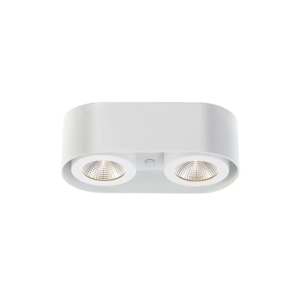 EUROFASE, NYMARK2LT LED SURFACE MNTWHT, OUTDOOR CEILING LIGHTS