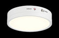 EUROFASE, ARTEMIS FLUSH MOUNT, FLUSH MOUNT CEILING LIGHTS
