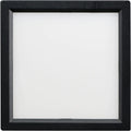EUROFASE, TROY FLUSH MOUNT, FLUSH MOUNT CEILING LIGHTS