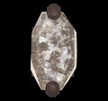 FINE ART LAMPS, ALLISON PALADINO SCONCE, WALL SCONCES