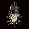 FINE ART LAMPS, LILY BUDS SCONCE, WALL SCONCES