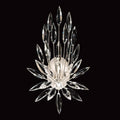 FINE ART LAMPS, LILY BUDS SCONCE, WALL SCONCES
