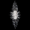 FINE ART LAMPS, LILY BUDS SCONCE, WALL SCONCES