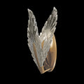 FINE ART LAMPS, PLUME SCONCE, WALL SCONCES