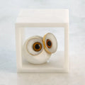 GLOBAL VIEWS ALABASTER BIG EYED OWL IN CUBE - Decorative Accents