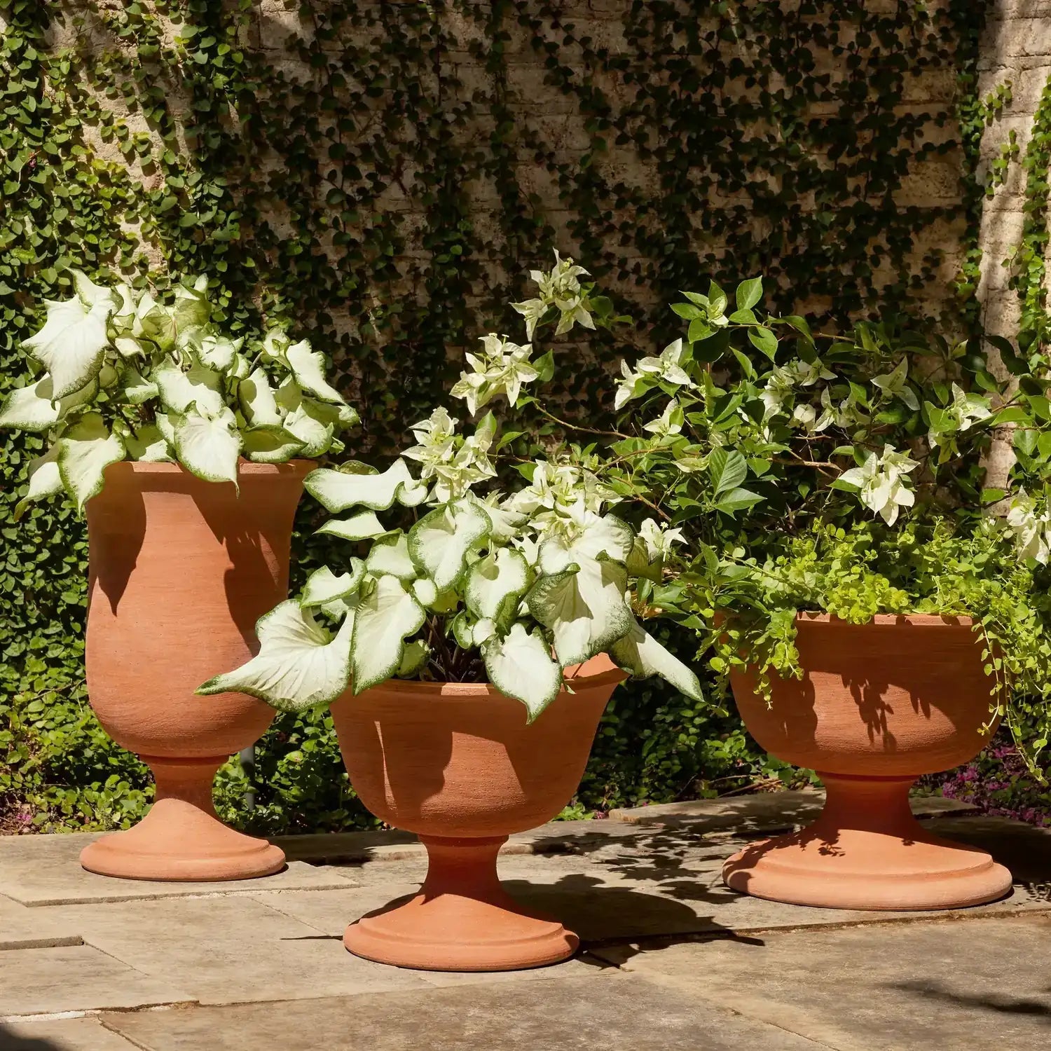 GLOBAL VIEWS VILLA CHALICE COMPOTE - Decorative Accents