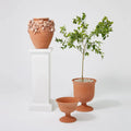 GLOBAL VIEWS VILLA CHALICE COMPOTE - Decorative Accents