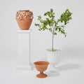 GLOBAL VIEWS VILLA CHALICE COMPOTE - Decorative Accents