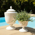 GLOBAL VIEWS VILLA CHALICE COMPOTE - Decorative Accents