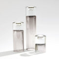 GLOBAL VIEWS RADIANT T - Art