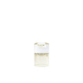 GLOBAL VIEWS RADIANT T - Art
