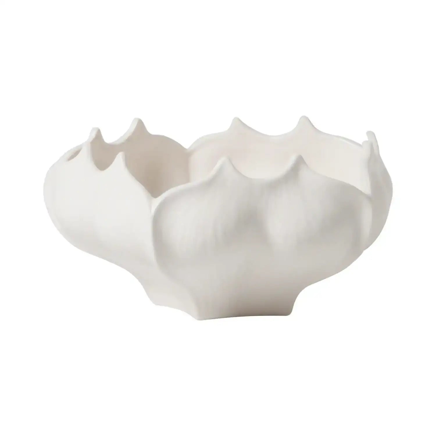 GLOBAL VIEWS STAR FRUIT BOWL - Decorative Accents