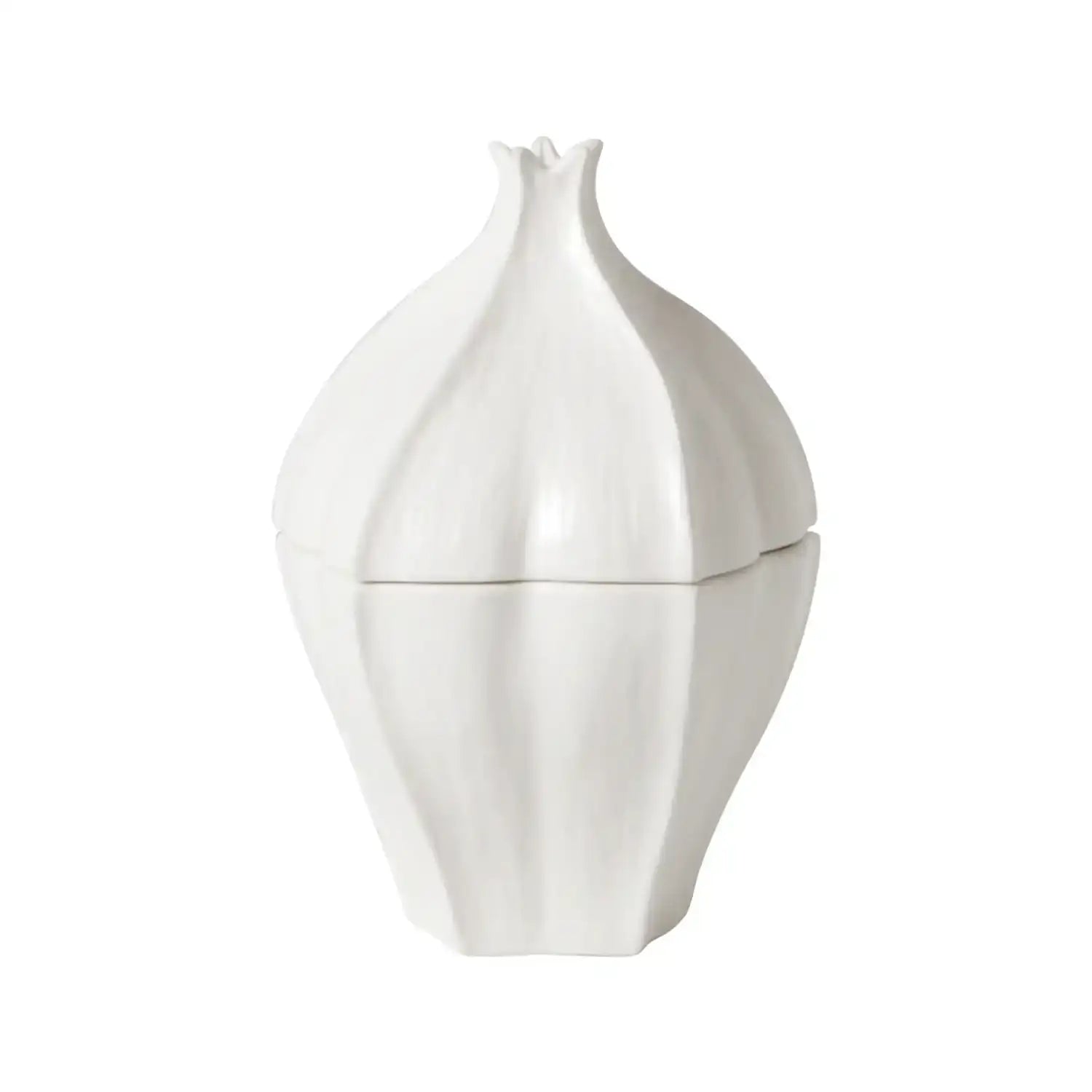 GLOBAL VIEWS STAR FRUIT BOX - Decorative Accents