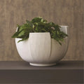 GLOBAL VIEWS BIRCH BARK BOWL - Decorative Accents
