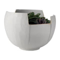 GLOBAL VIEWS BIRCH BARK BOWL - Decorative Accents