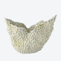 GLOBAL VIEWS BARRIER REEF BOWL - Decorative Accents