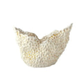 GLOBAL VIEWS BARRIER REEF BOWL - Decorative Accents