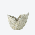 GLOBAL VIEWS BARRIER REEF BOWL - Decorative Accents