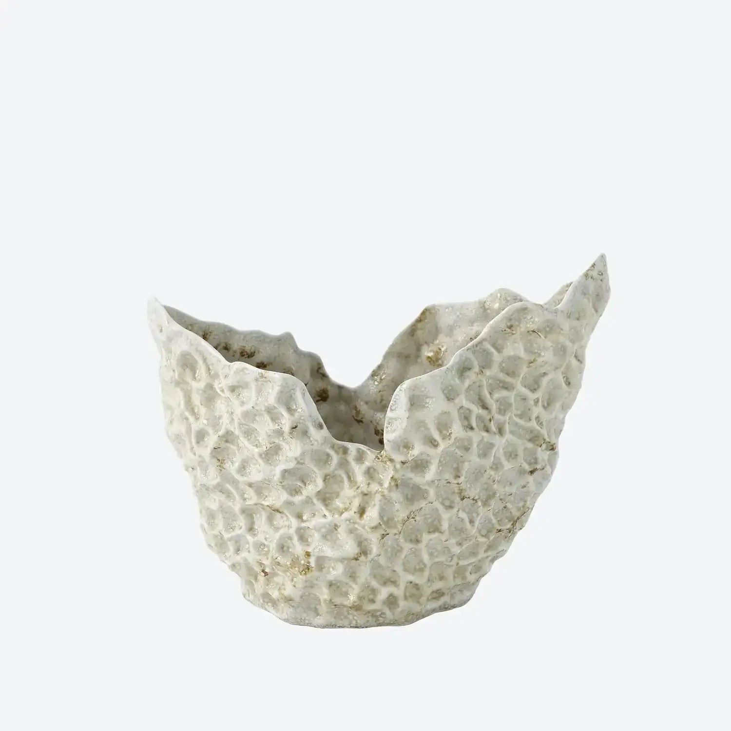 GLOBAL VIEWS BARRIER REEF BOWL - Decorative Accents
