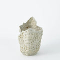 GLOBAL VIEWS BARRIER REEF BOWL - Decorative Accents