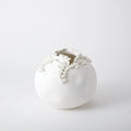 GLOBAL VIEWS CASCADING REEF VASE - Decorative Accents