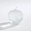GLOBAL VIEWS GHOST FRUIT - Art