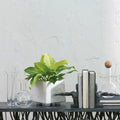 GLOBAL VIEWS CHEMISTRY CARAFE W/MARTINI STIRRER - Decorative Accents