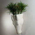 GLOBAL VIEWS EQUUS WALL VASE - Decorative Accents