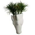 GLOBAL VIEWS EQUUS WALL VASE - Decorative Accents
