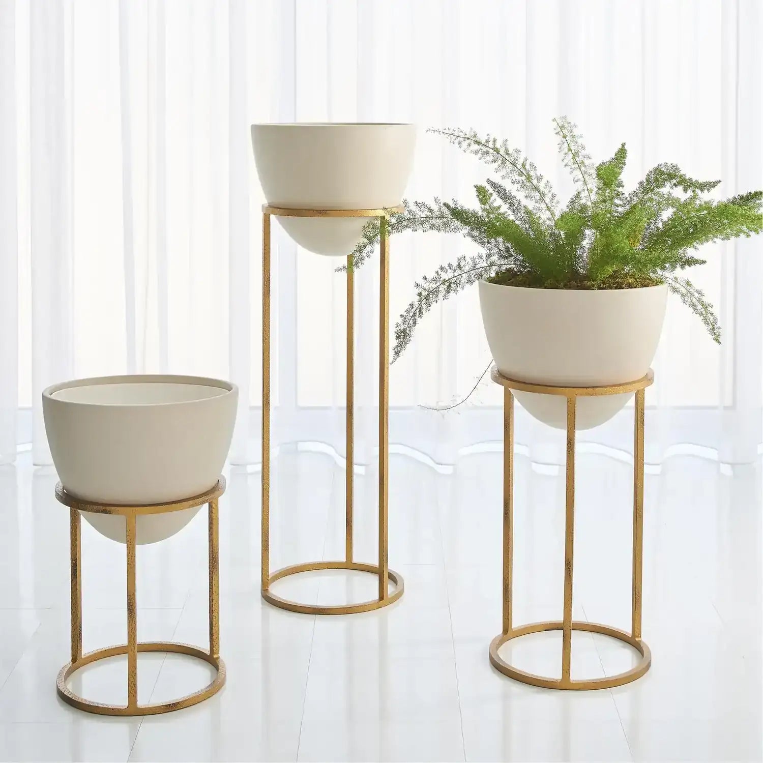 GLOBAL VIEWS WISE EGG - Decorative Accents