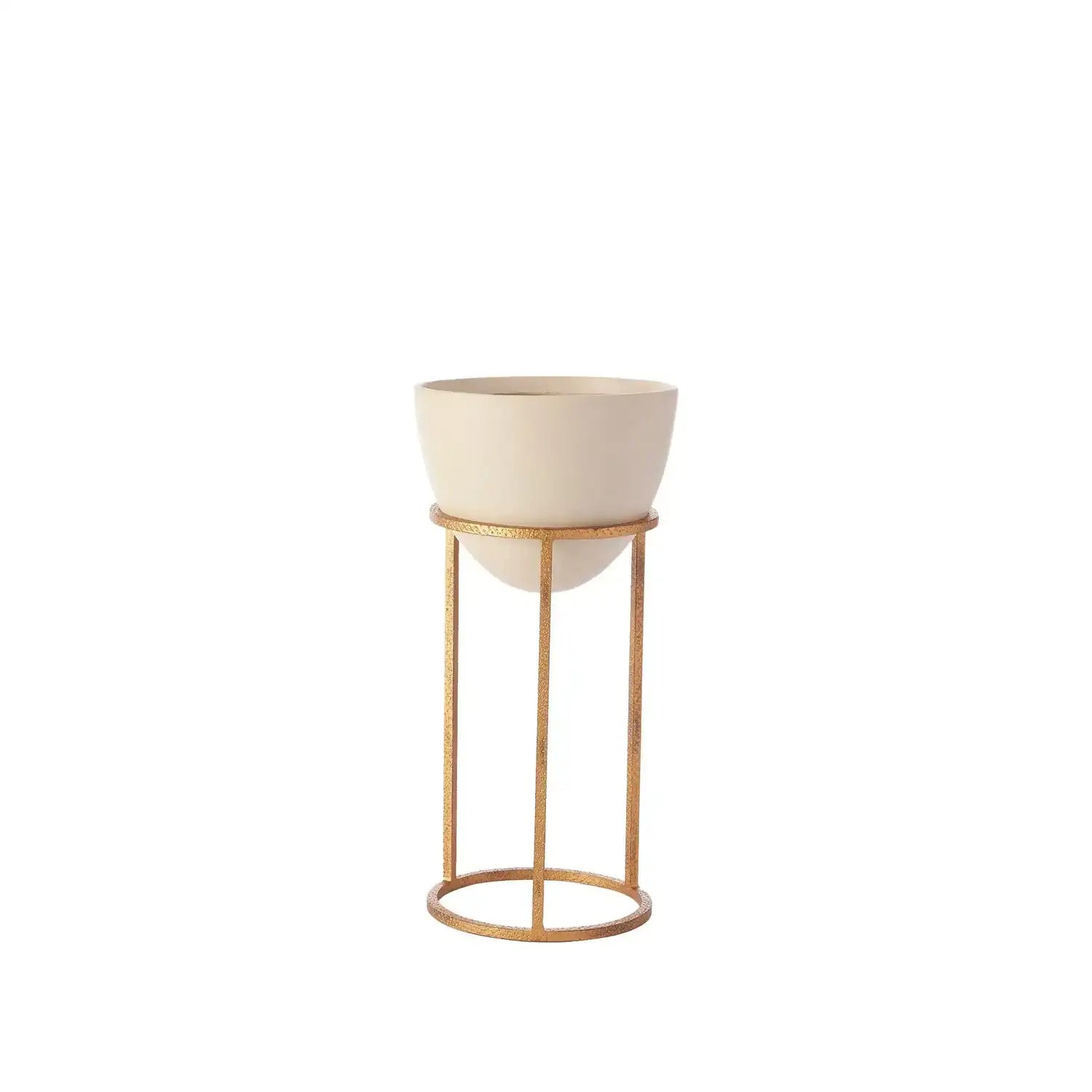 GLOBAL VIEWS WISE EGG - Decorative Accents