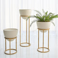 GLOBAL VIEWS WISE EGG - Decorative Accents